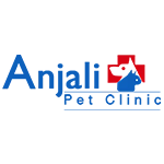 anjali-clinic-logo
