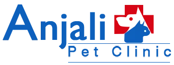  Anjali Pet Clinic