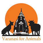 varanasi-for-animals-logo